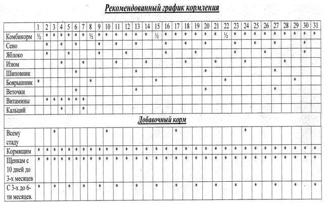 Хорошая фраза график кормления закладки